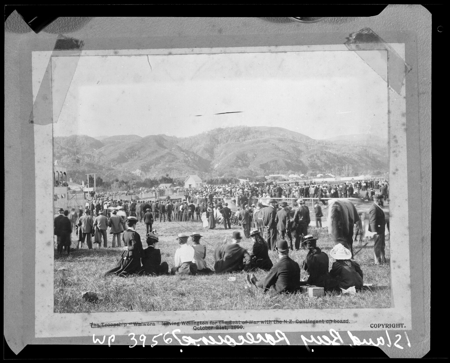 Racecourse - Island Bay or Lower Hutt ?