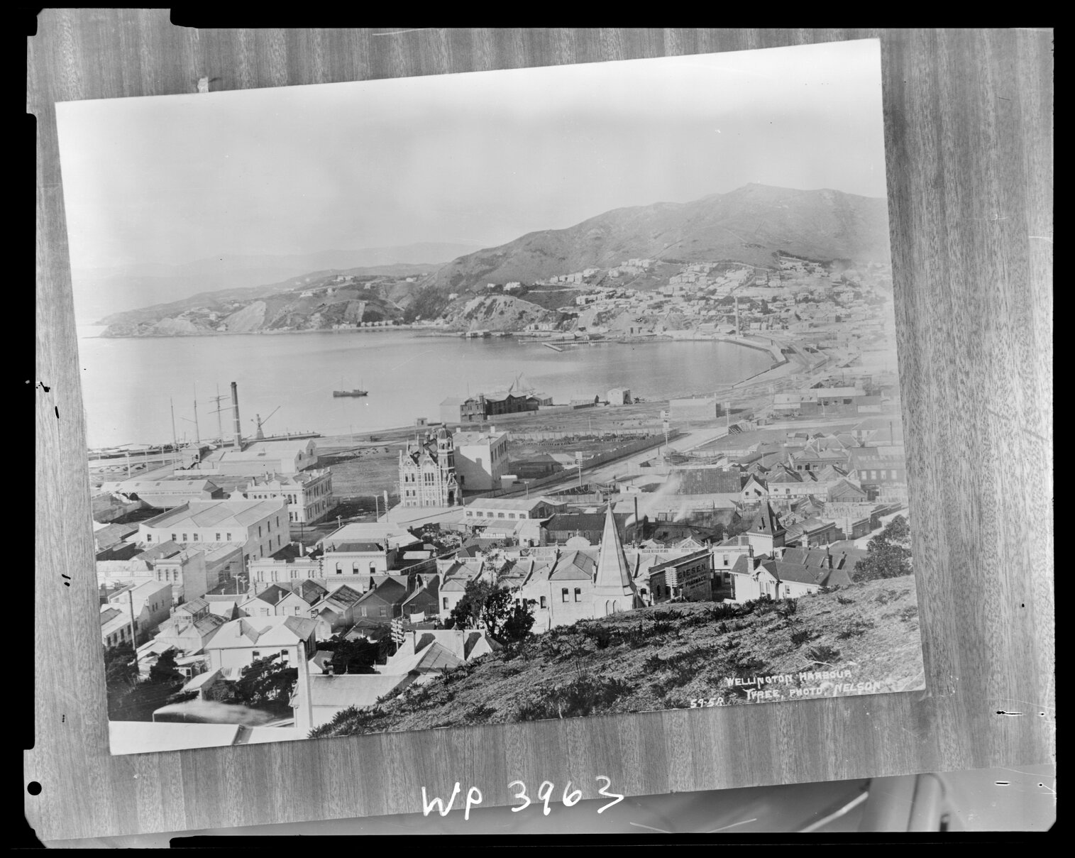 Elevated view of Te Aro Foreshore