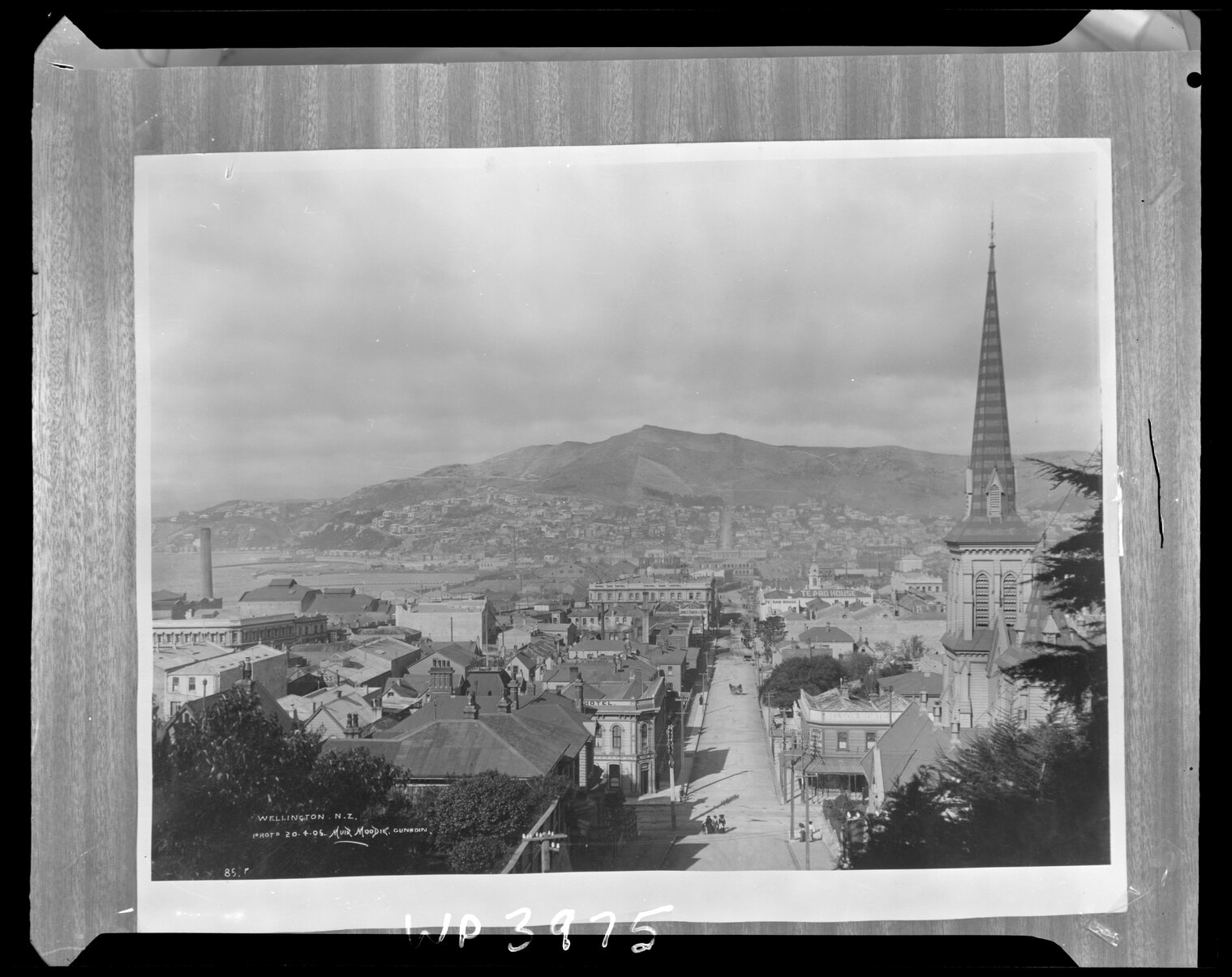 Te Aro from Dixon Street Steps