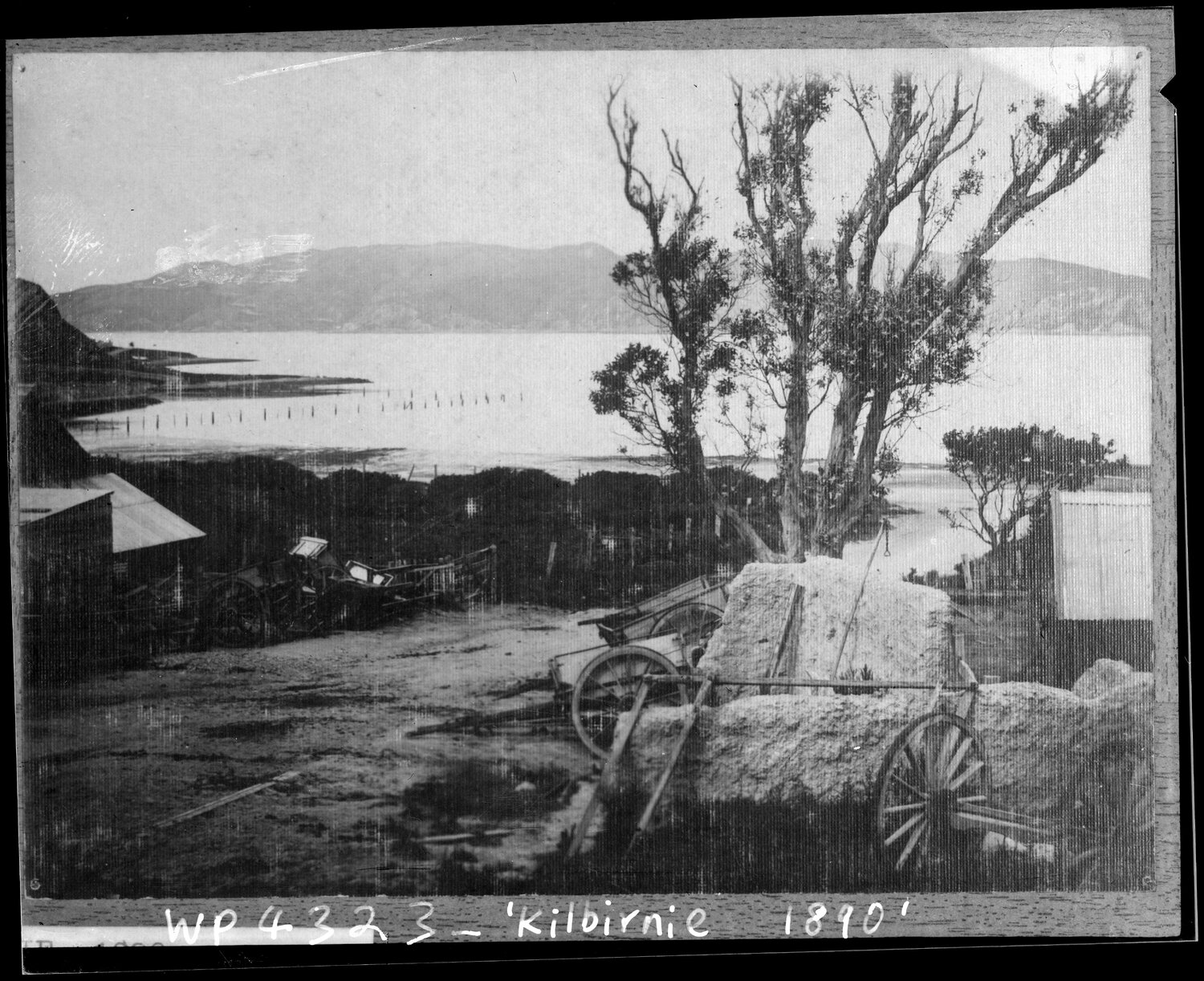 Evans Bay from Duncan Terrace