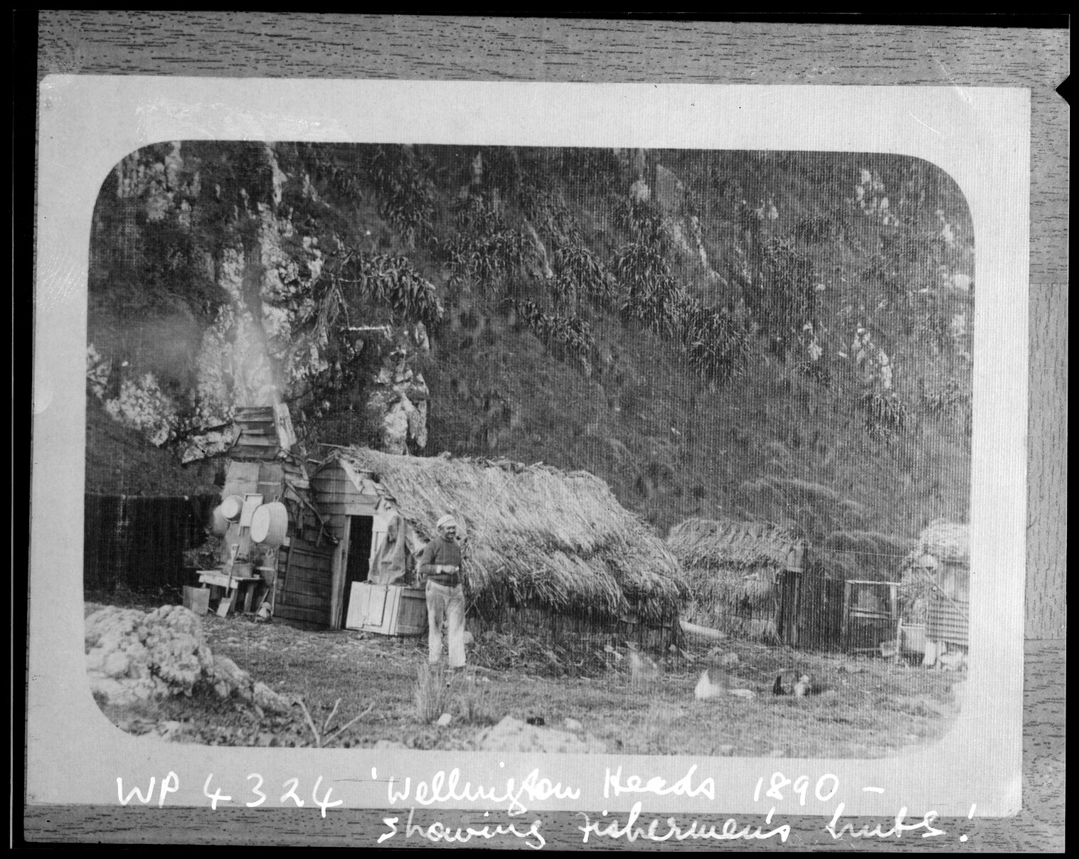 Wellington Heads, showing fishermen's huts