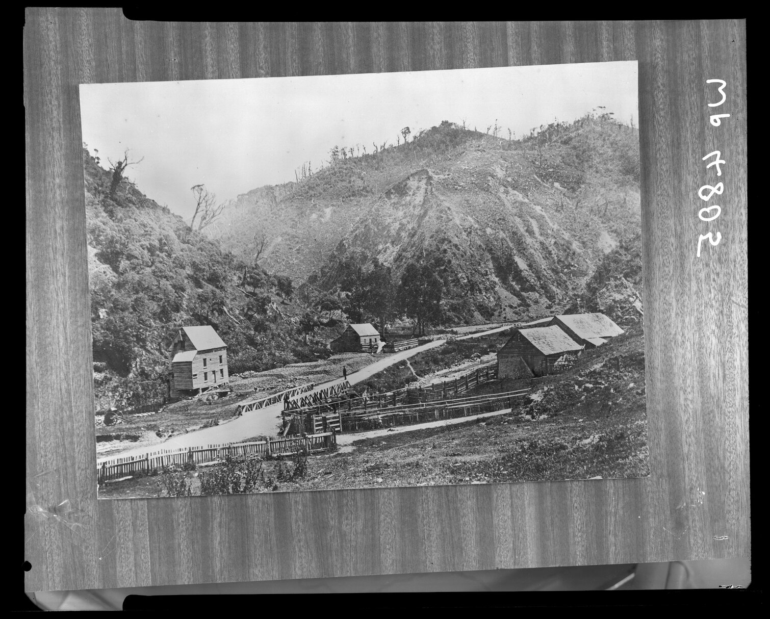Ngauranga settlement