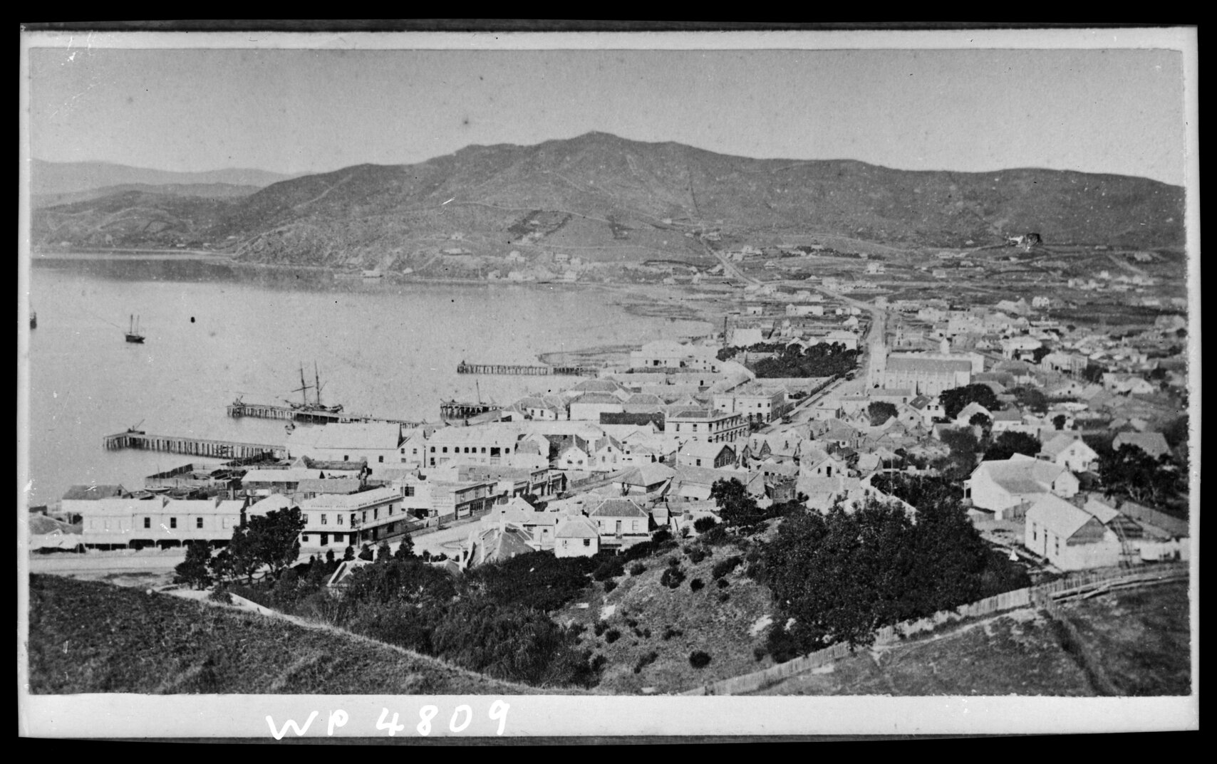 Elevated view of Te Aro
