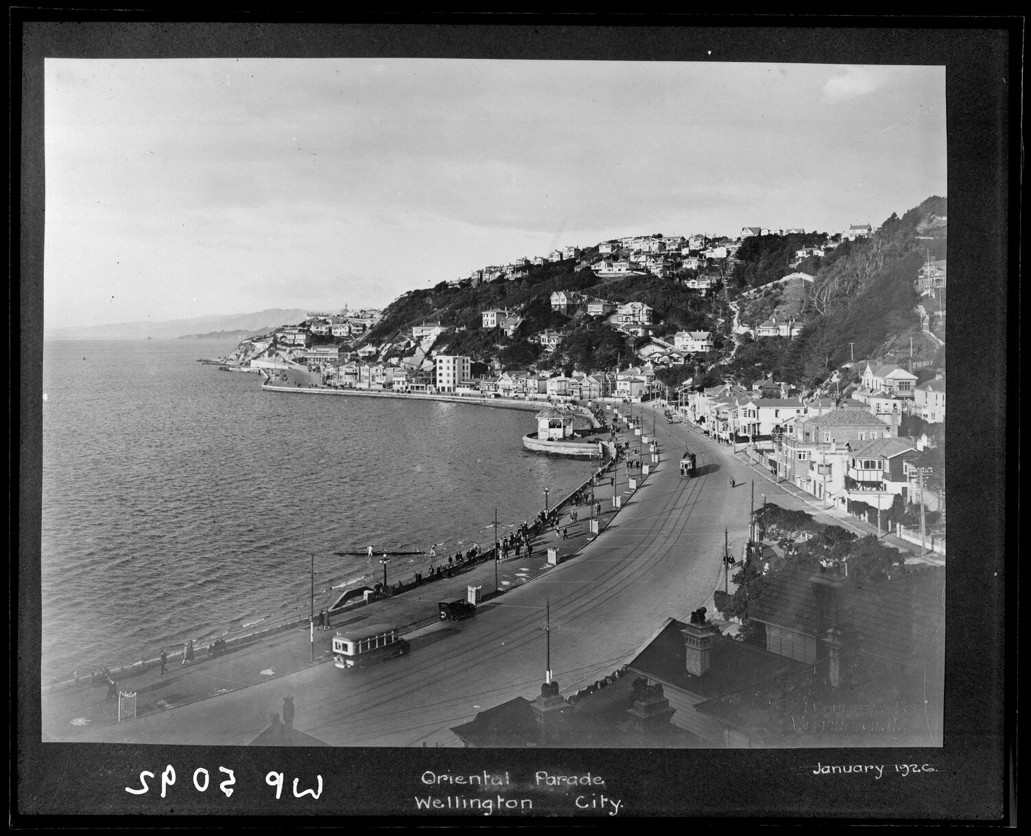 Oriental Parade / Oriental Bay