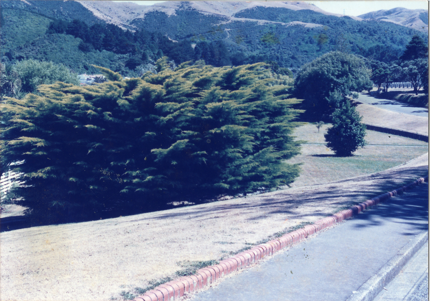 First view of Rose Garden (Garden of Remembrance), 25 January 1989