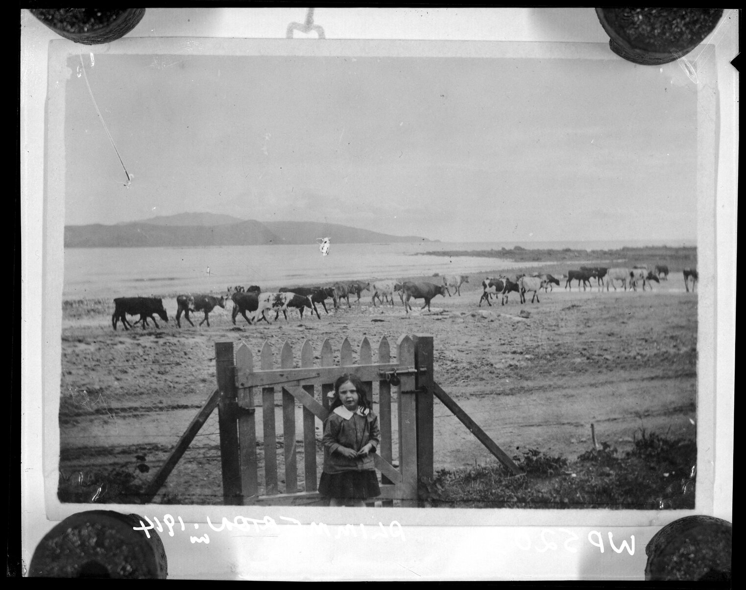 Plimmerton Extension