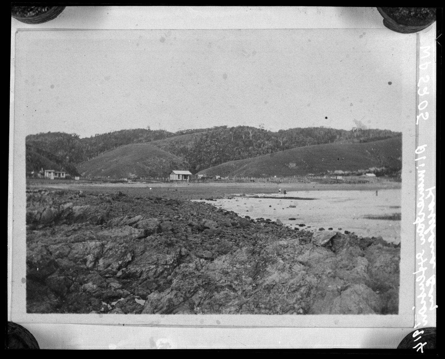Coastline, Karehana Bay, Plimmerton