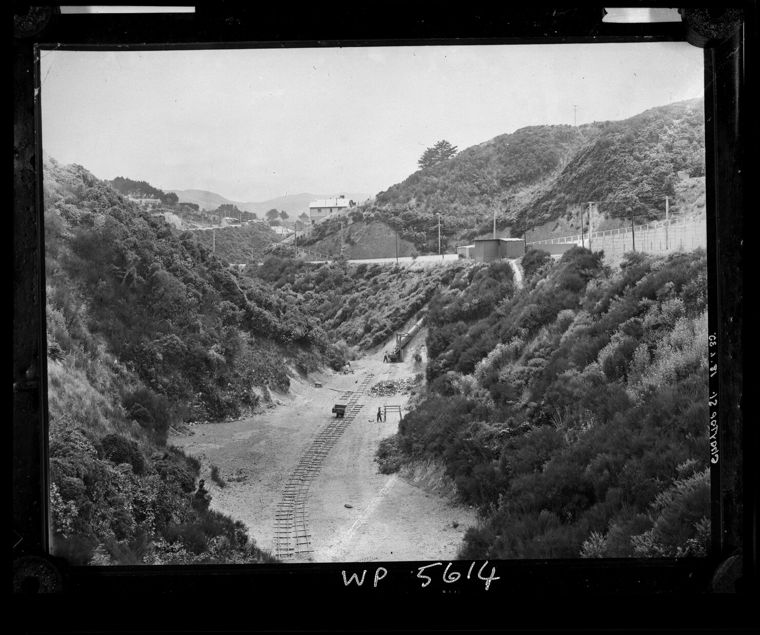 Gully, Chaytor Street, Karori