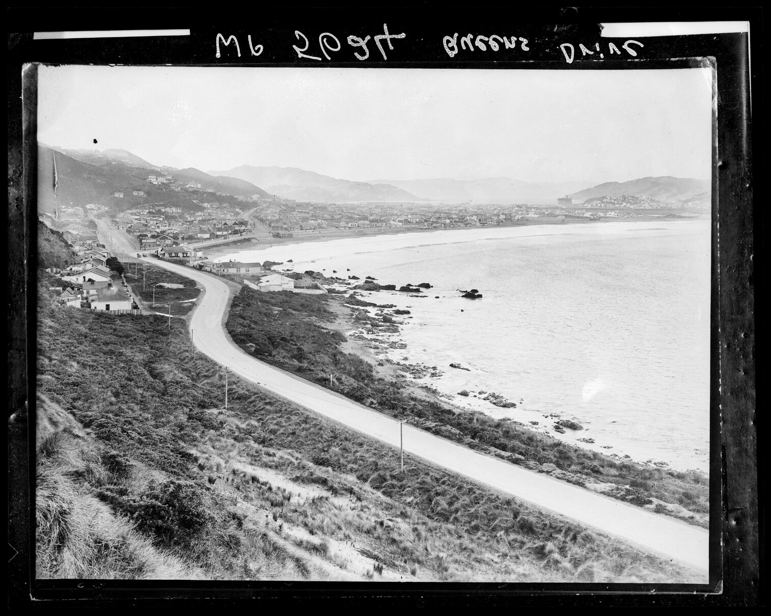Elevated view of Lyall Bay, from above Queens Drive