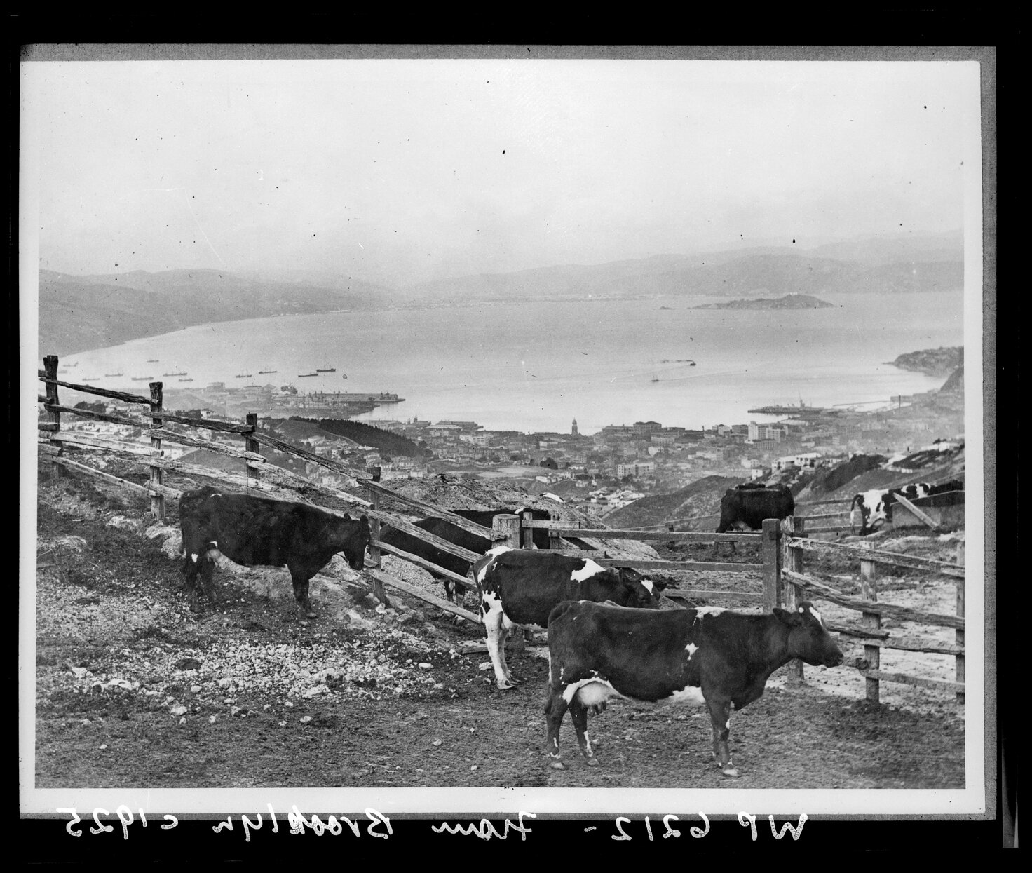 Elevated view of Wellington harbour, from Brooklyn Hill