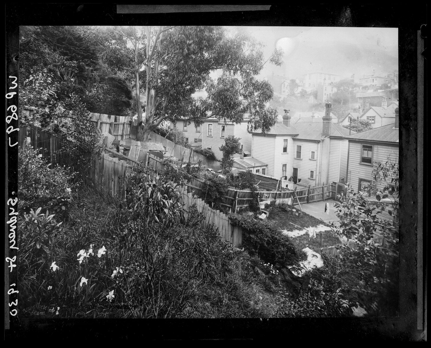 Sydney Street, Western Access