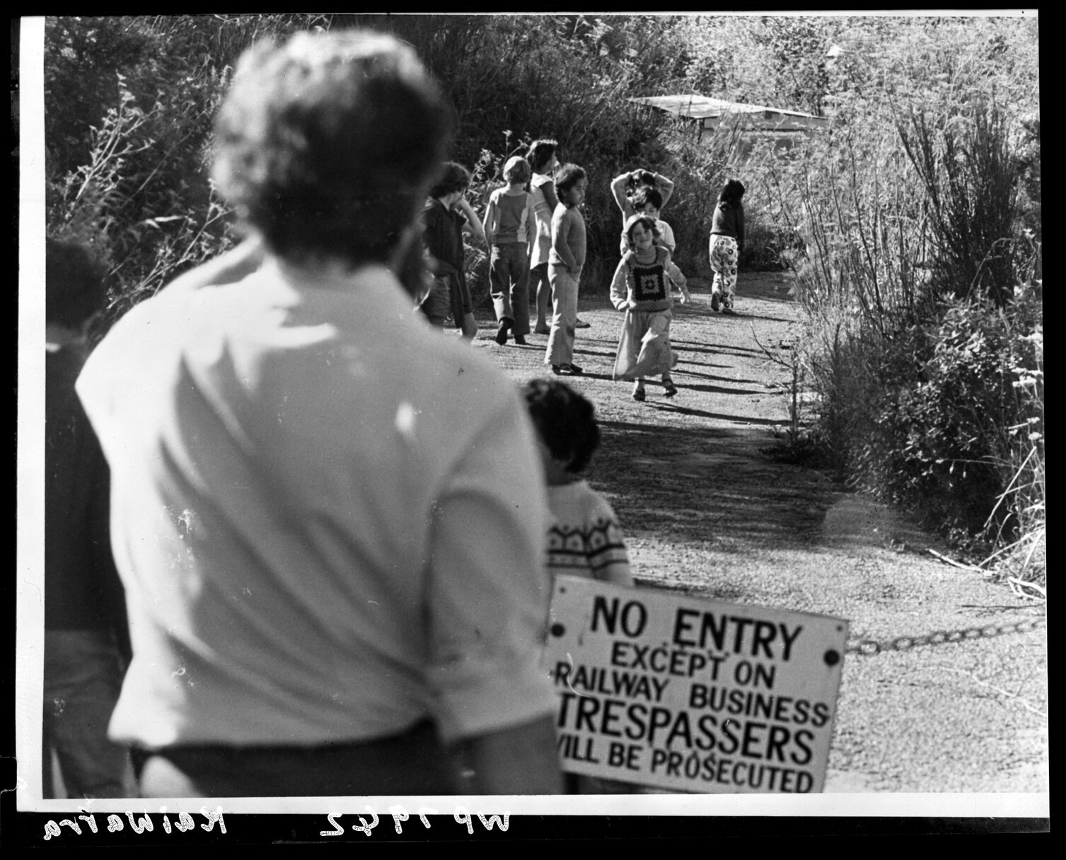 Kaiwharawhara School children in park
