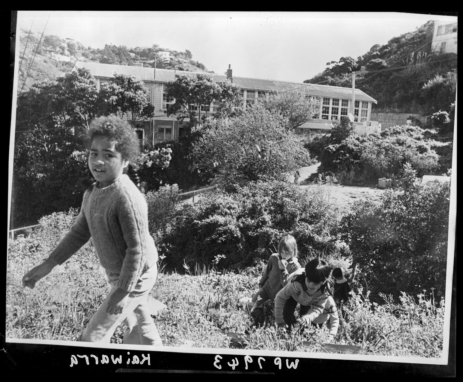Kaiwharawhara School children in park