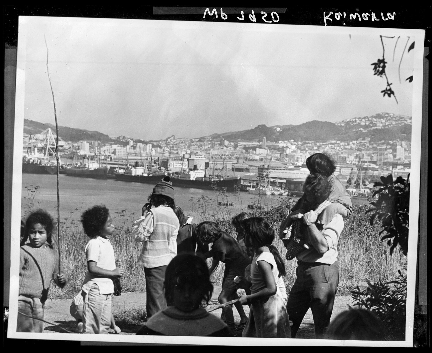 Children from Kaiwharawhara School, overlooking Wellington harbour