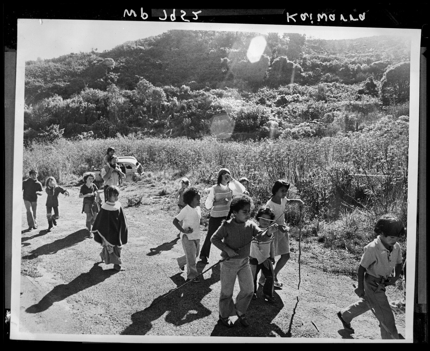 Kaiwharawhara School children out for walk