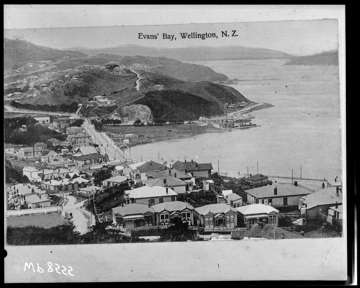 Elevated view of Evans Bay foreshore, prior to reclamation