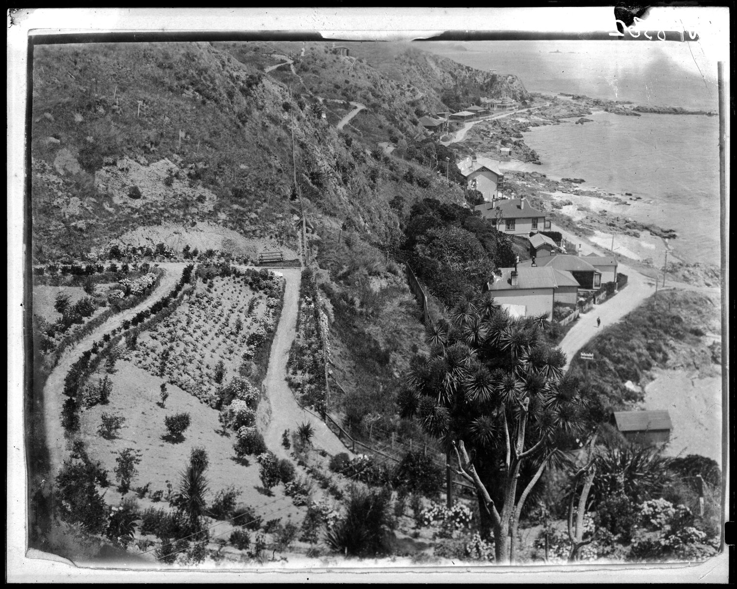 View overlooking dwellings and road around Seatoun coastline