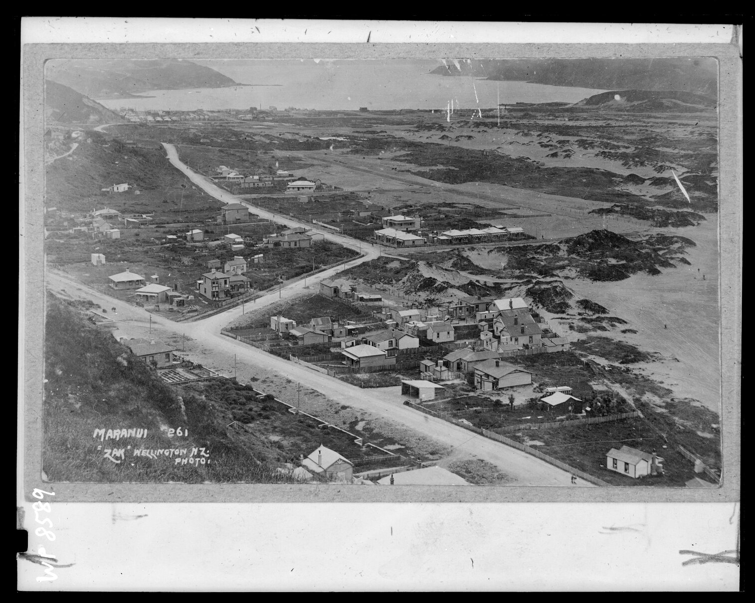 Elevated view of Maranui, Lyall Bay