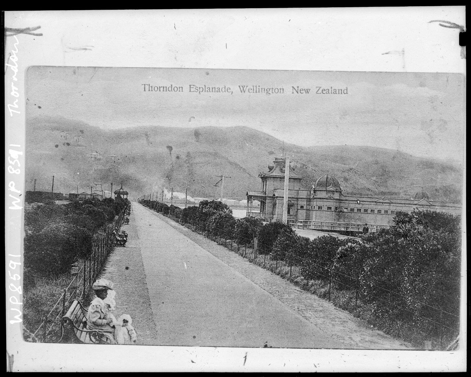 Looking north along the Thorndon Esplanade