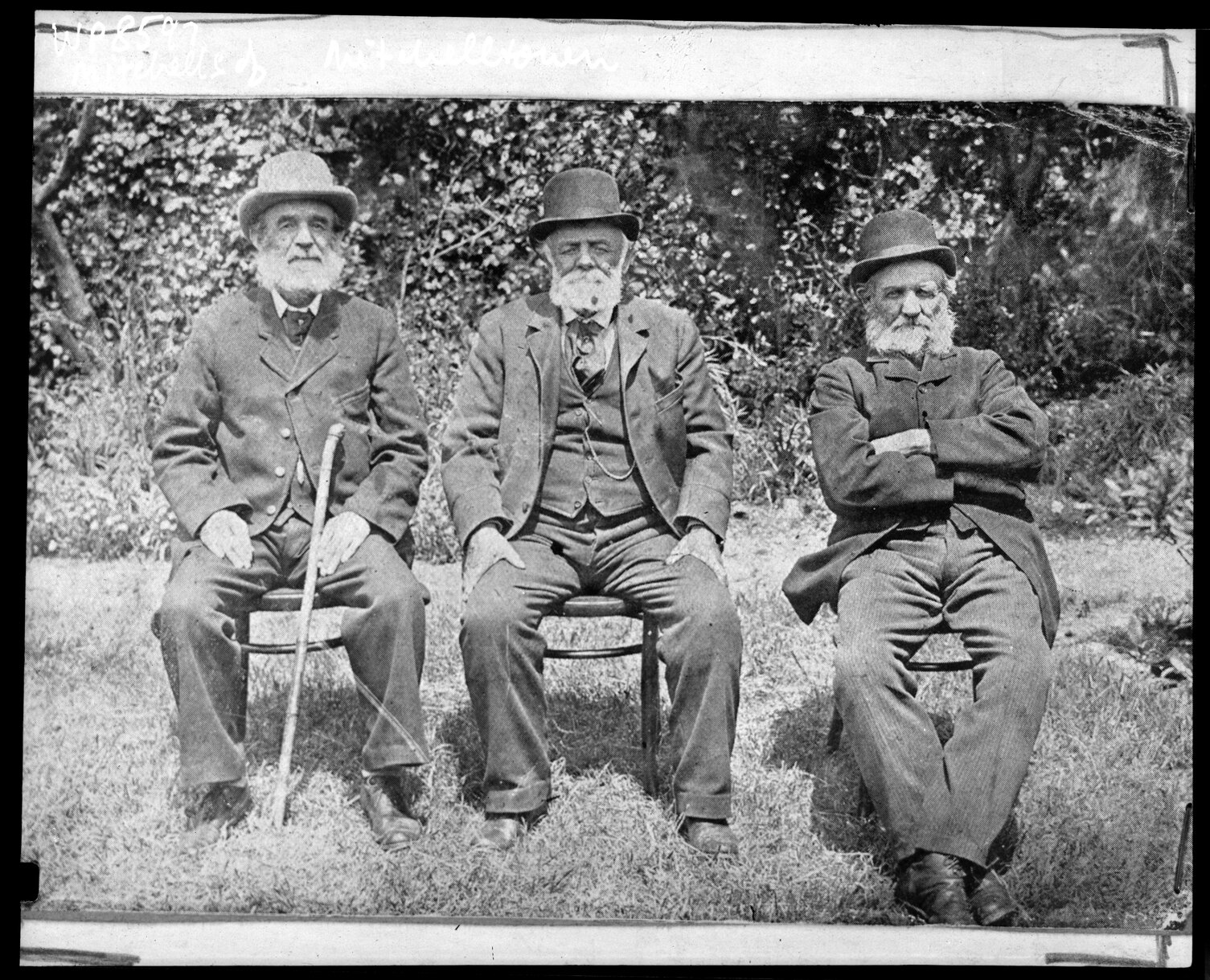 Brothers, Henry, William and James Mitchell