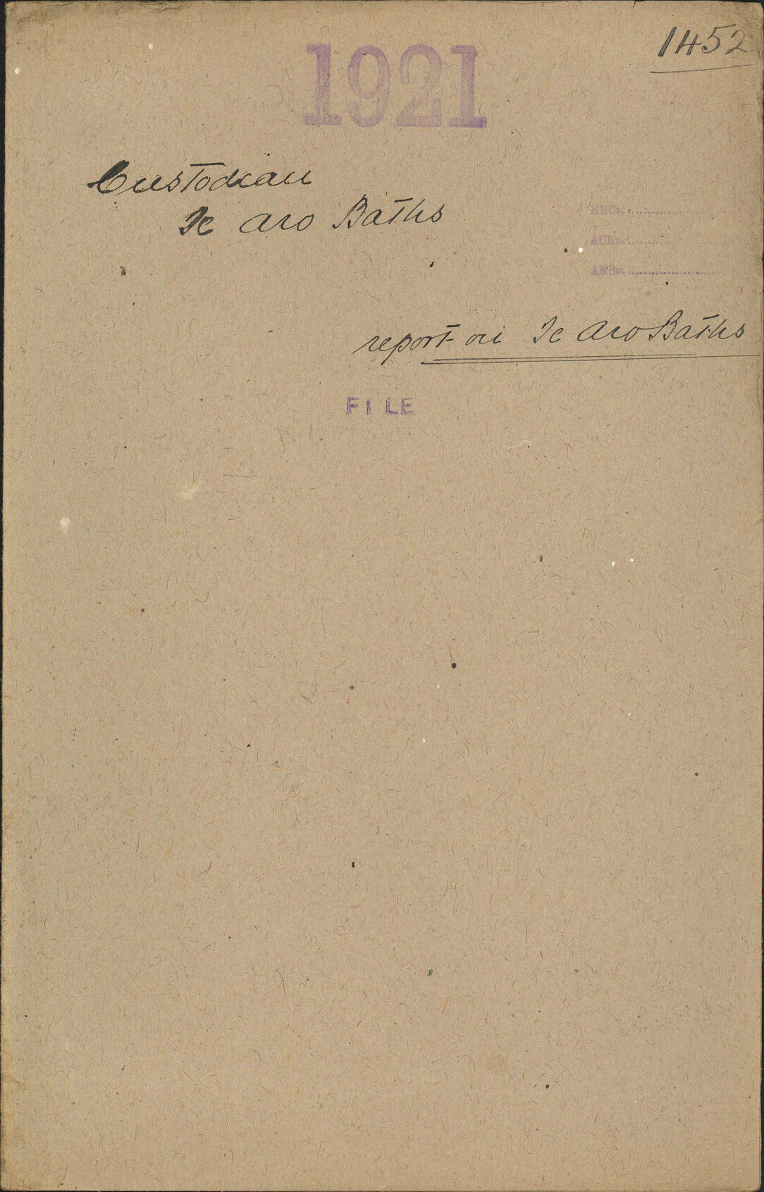 Report re Aro Baths - Custodian, Te Aro Baths