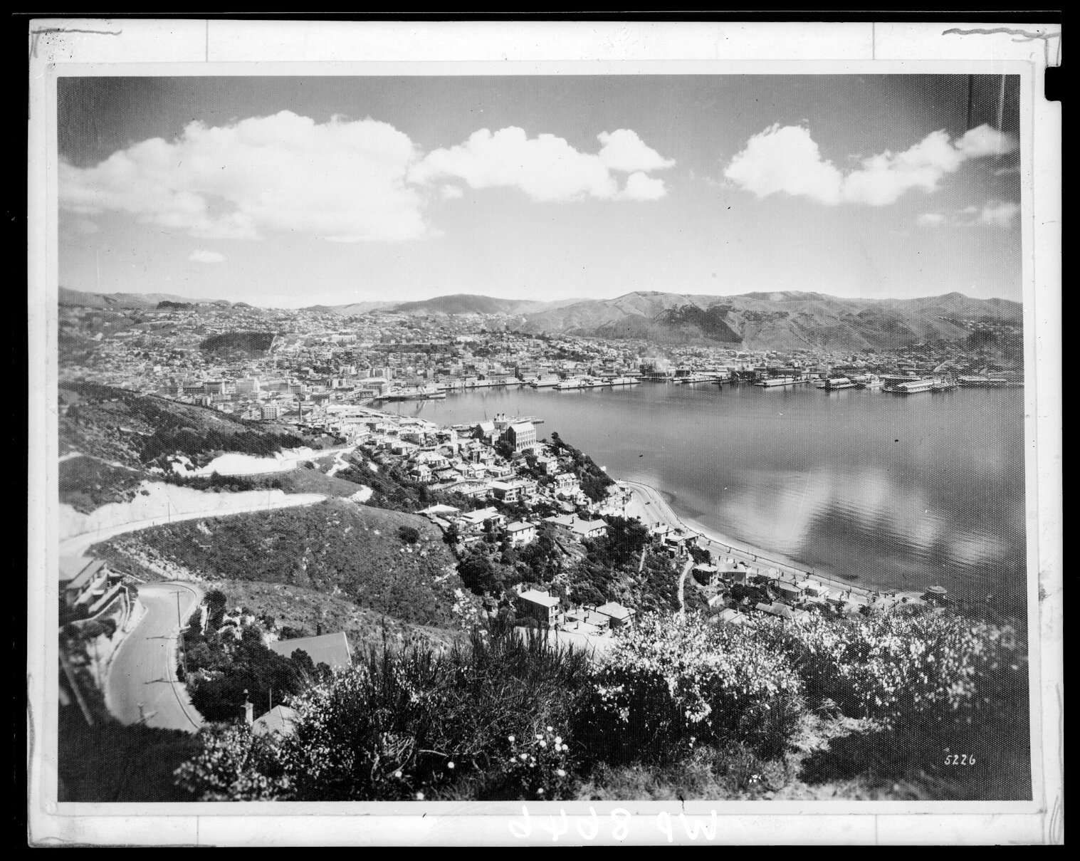 View of Wellington Harbour, from Mount Victoria