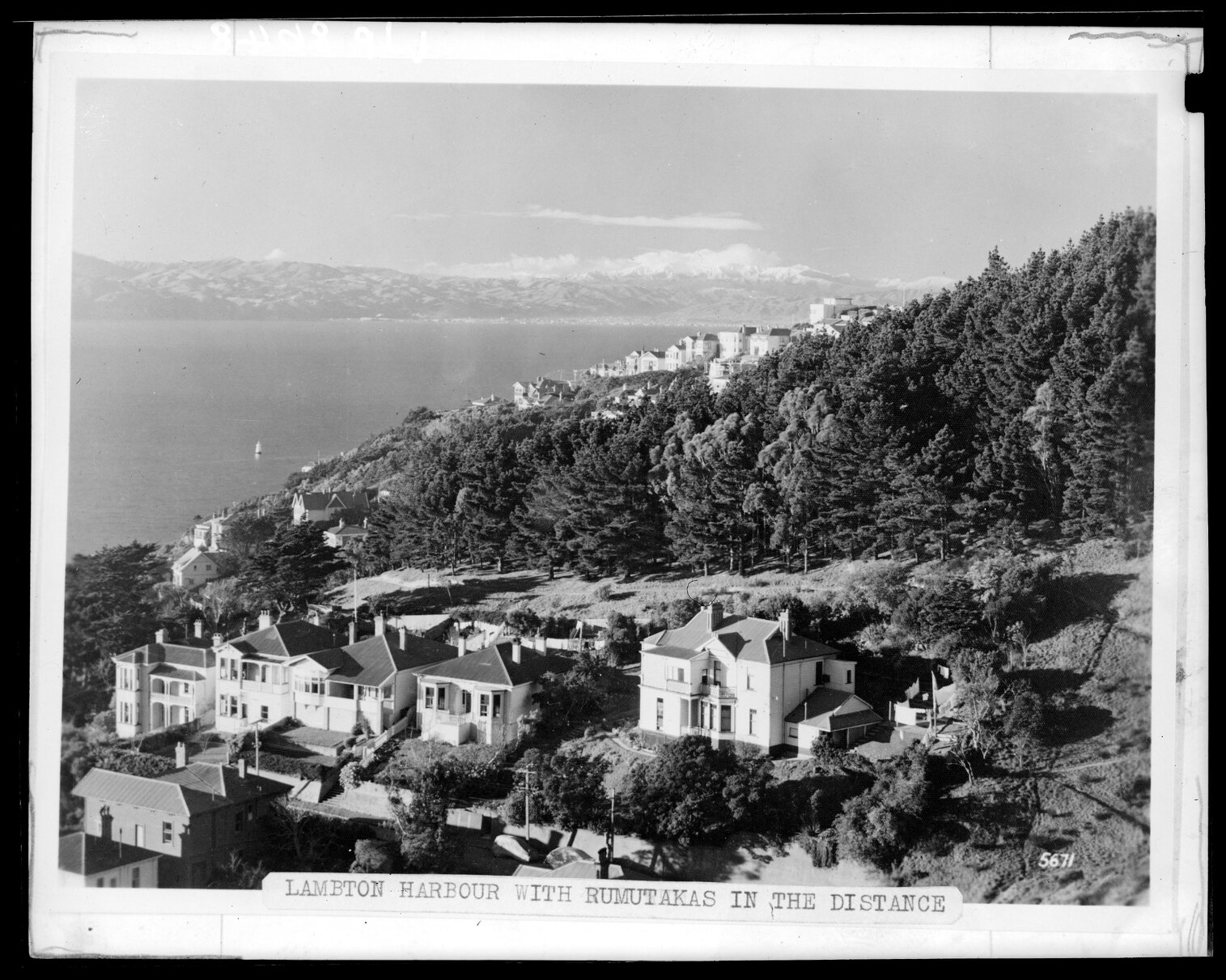 View of Wellington Harbour from above Oriental Bay, looking towards the Rimutakas