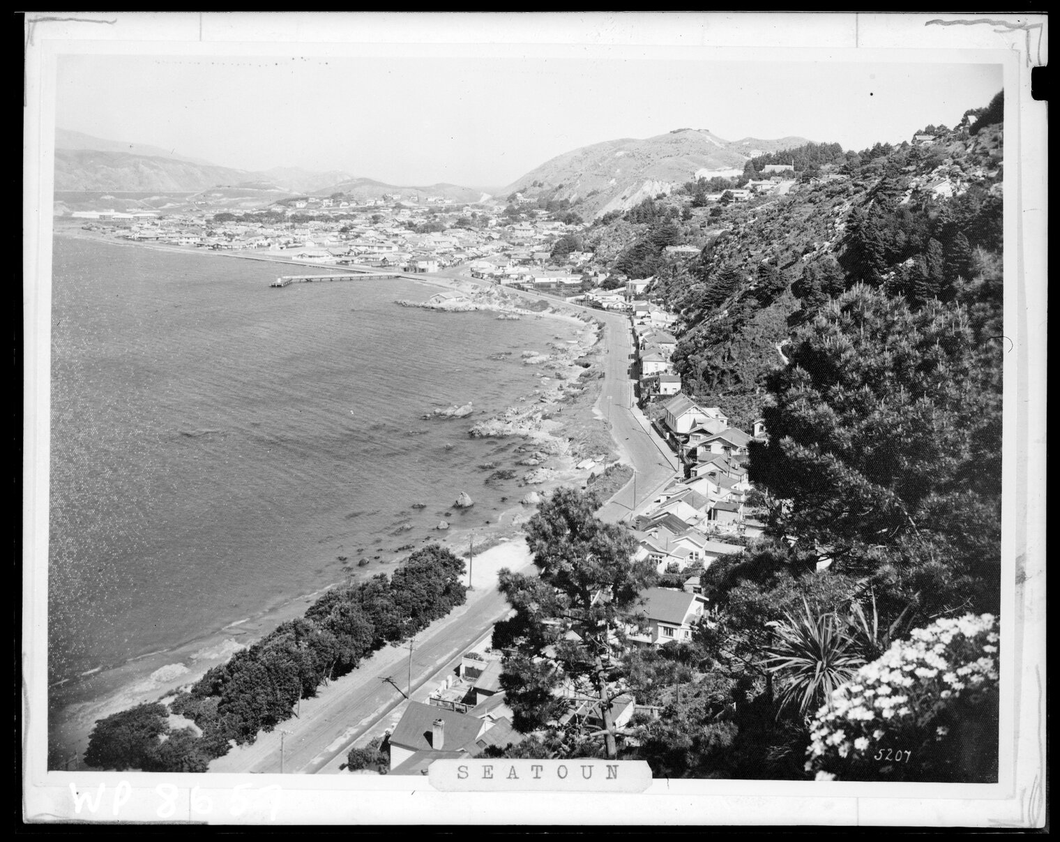 Elevated view of Seatoun and foreshore