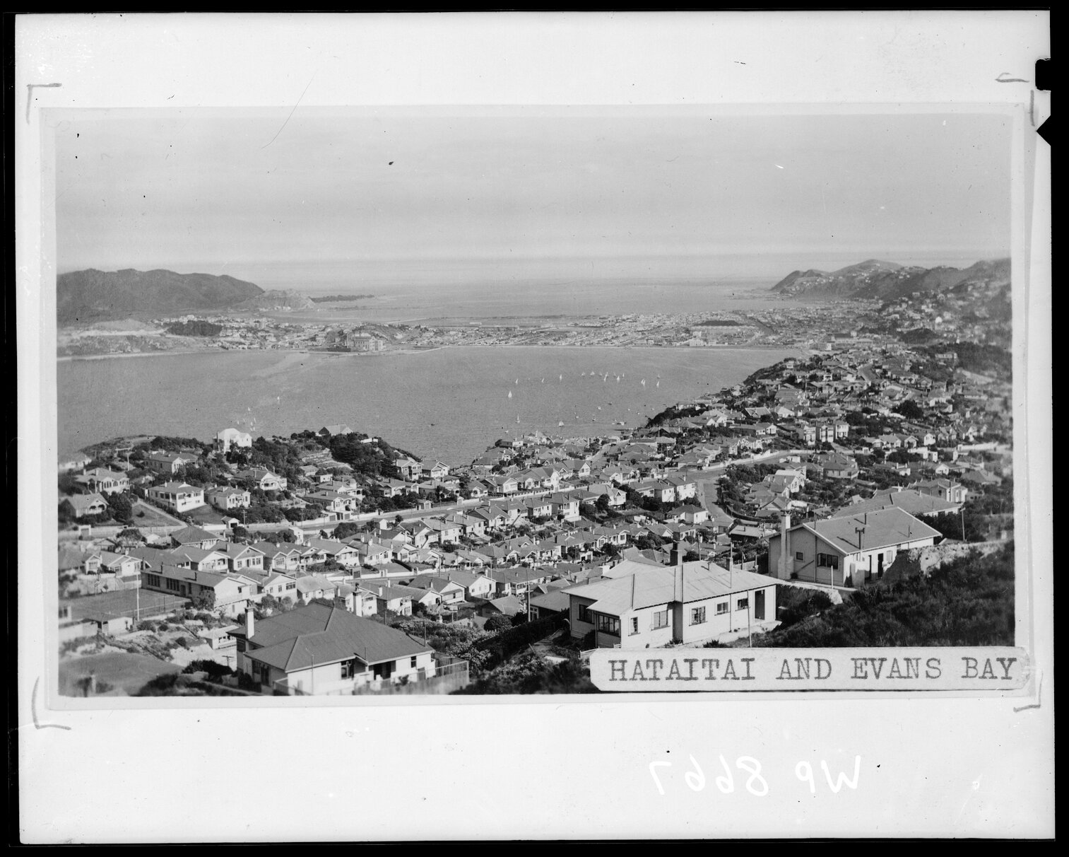 Elevated view of Evans Bay from Hataitai, across to Lyall Bay