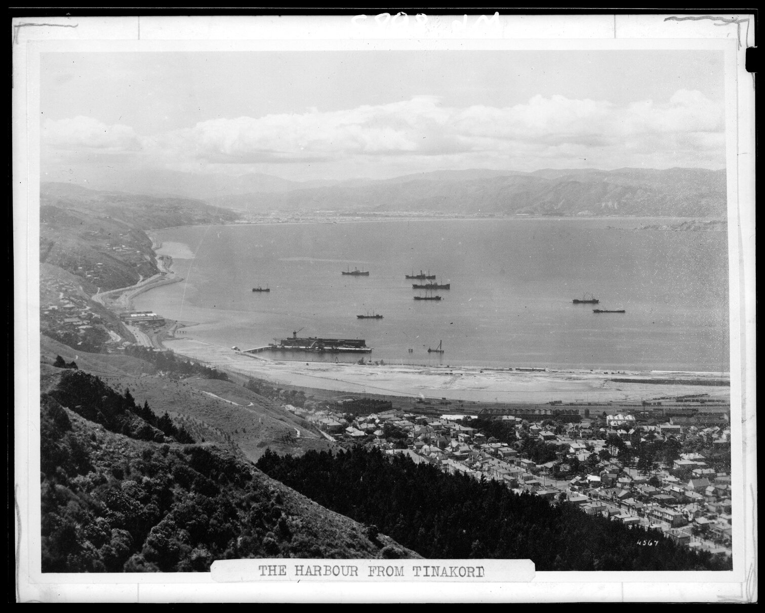 Reclamation, Thorndon