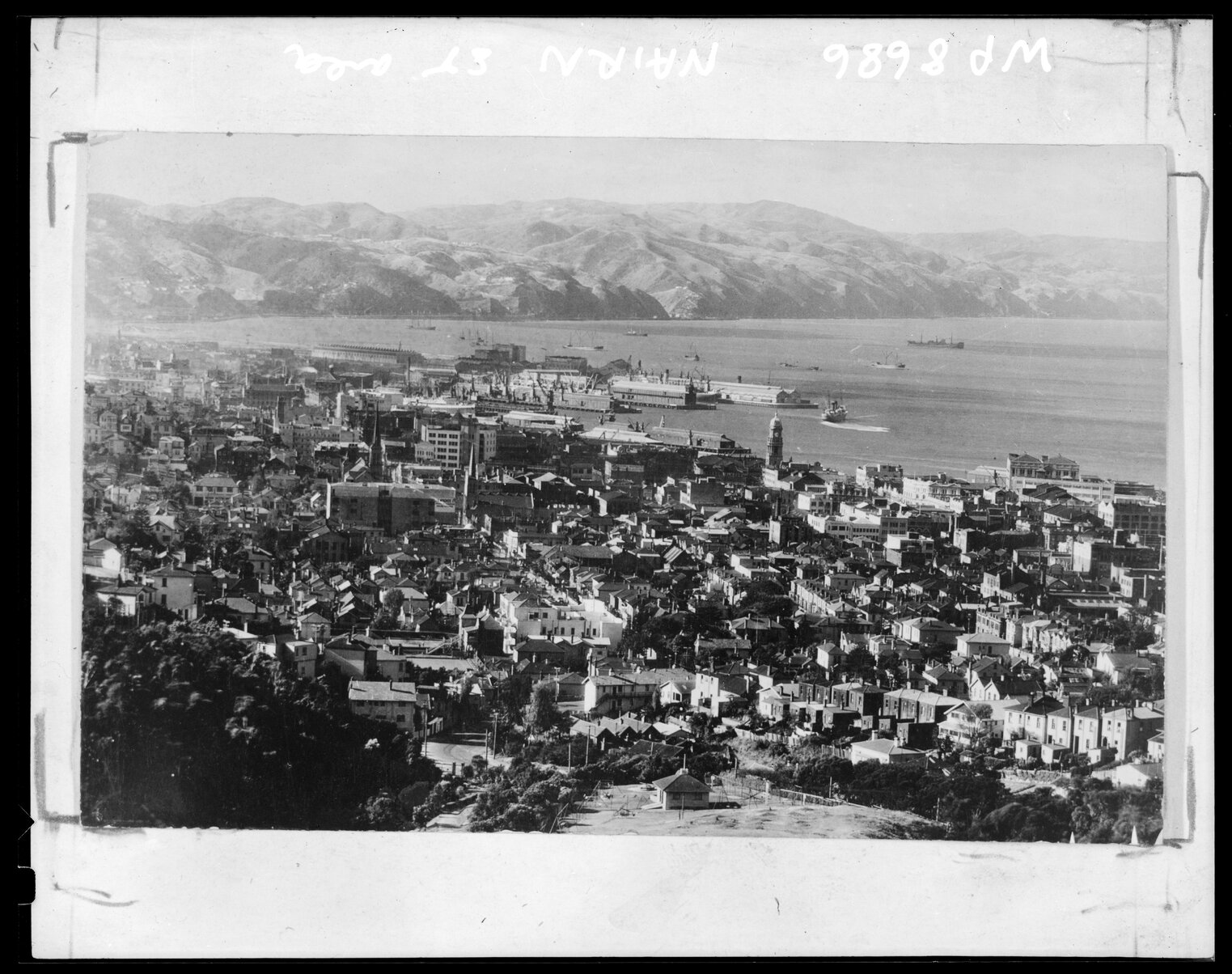 Elevated view of Te Aro, from Nairn Street