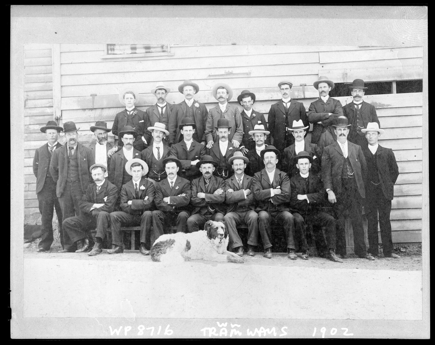 Horse-car men, group photograph of Wellington City Council tramways staff