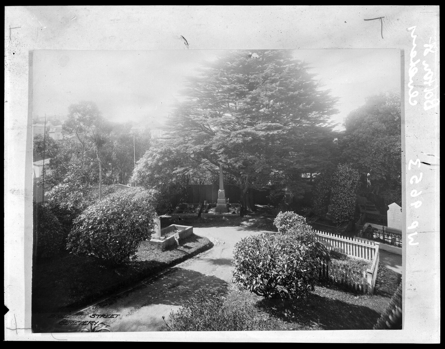 Graves in Bolton Street Cemetery. [Photographer- F.G. Barker], Bolton Street Cemetery