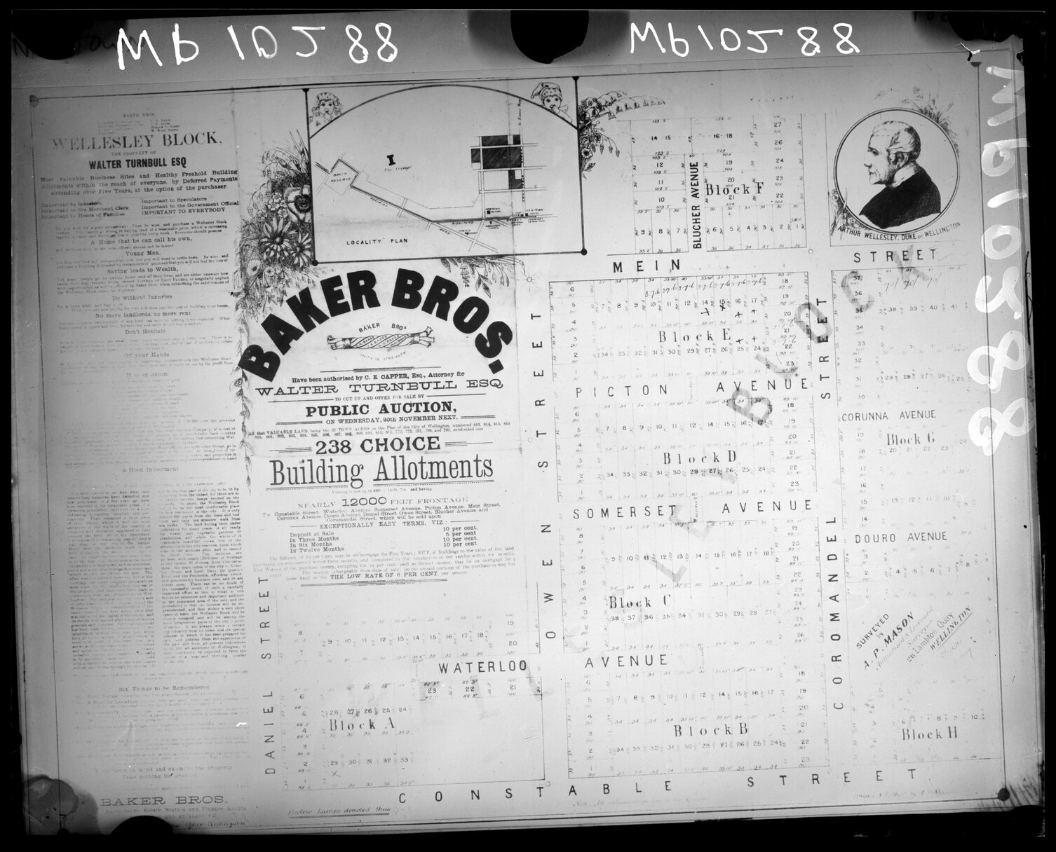 Copy photograph of Baker Brothers auction map, Coromandel Street, Owen Street and Daniell Street