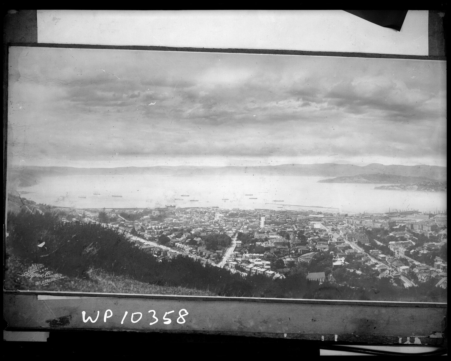 Panorama of Wellington harbour from Tinakori Hills