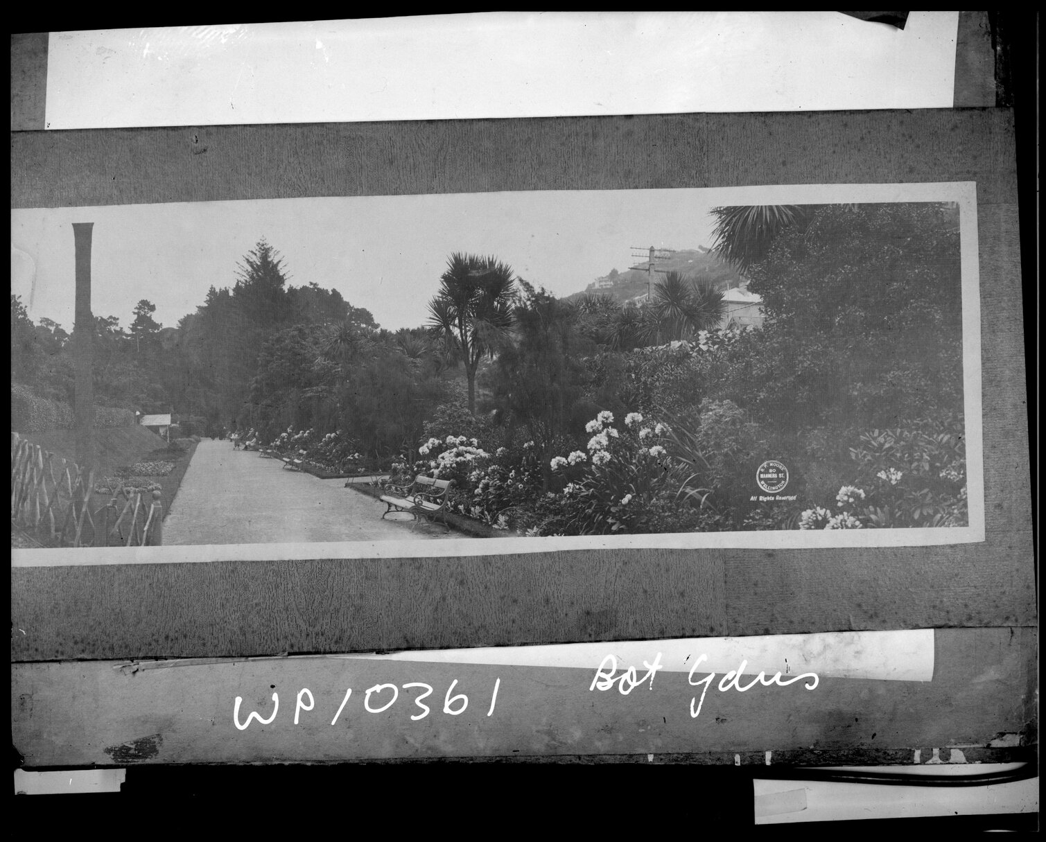 Panorama of the Botanic Gardens, Wellington