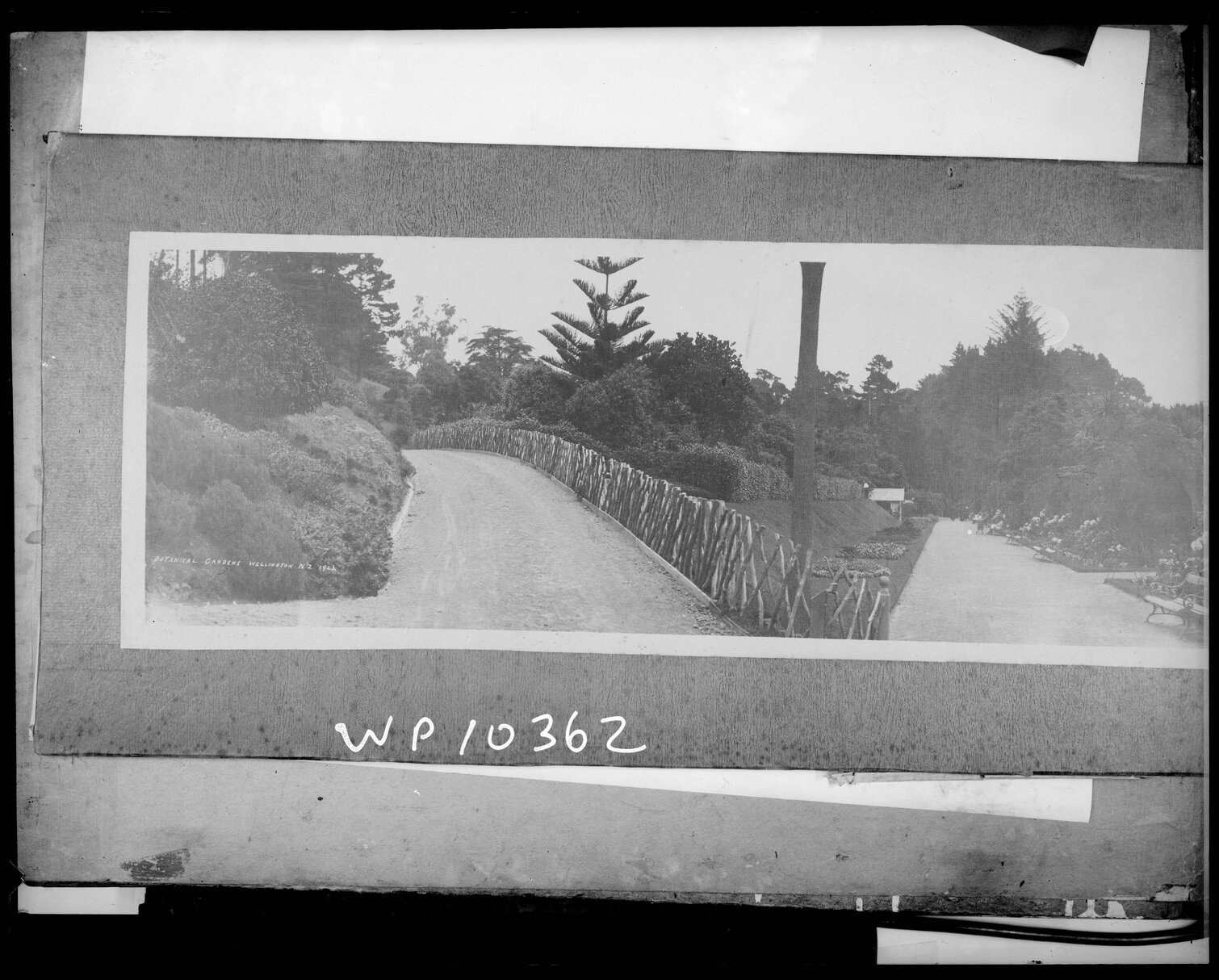 Panorama of the Botanic Gardens, Wellington