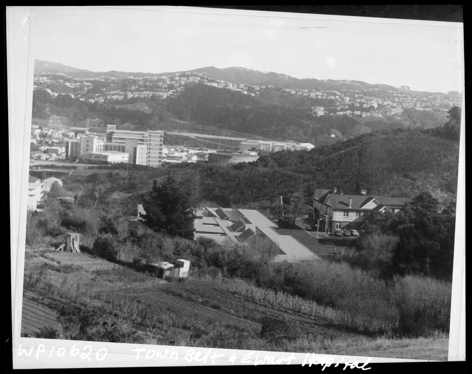 Elevated view of Ewart Hospital in Town Belt