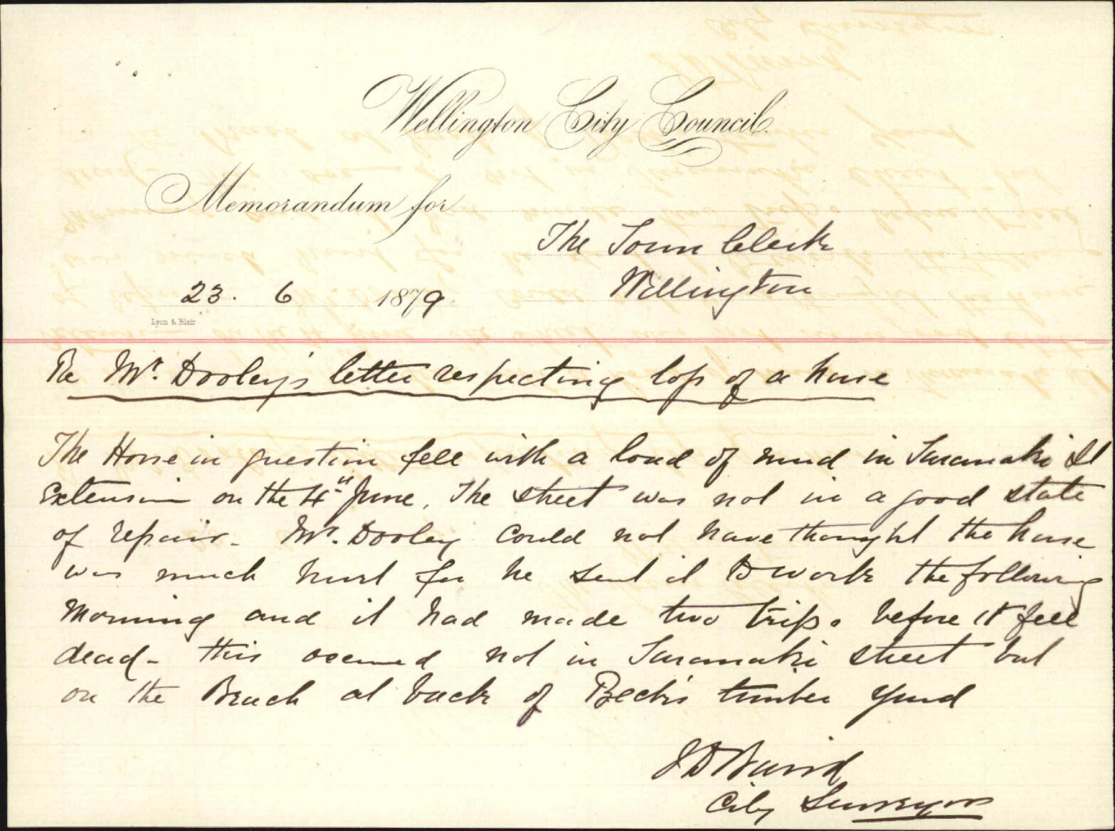 Memo re Mr Dooley and his horse which fell dead carrying a load of wood in Taranaki Street - City Surveyor