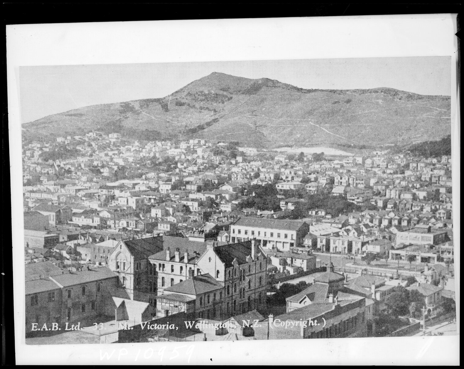 Mount Victoria from Te Aro