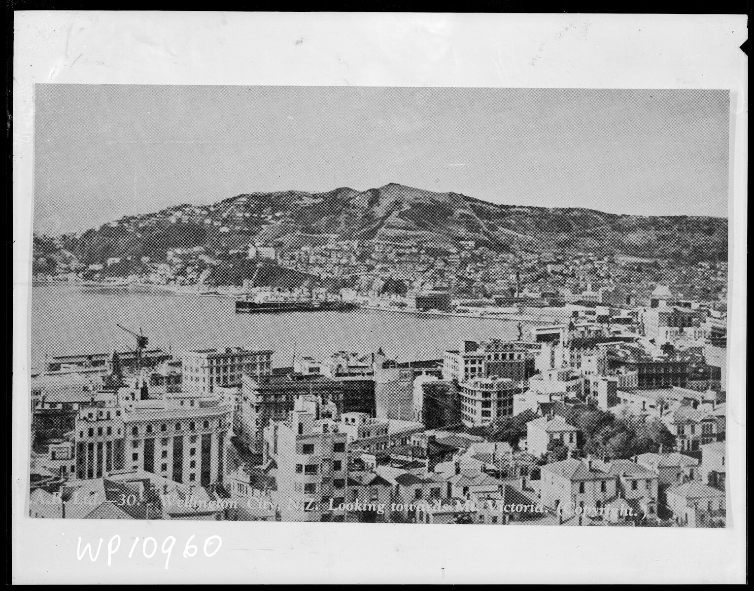 Wellington City, looking towards Mount Victoria from central business district