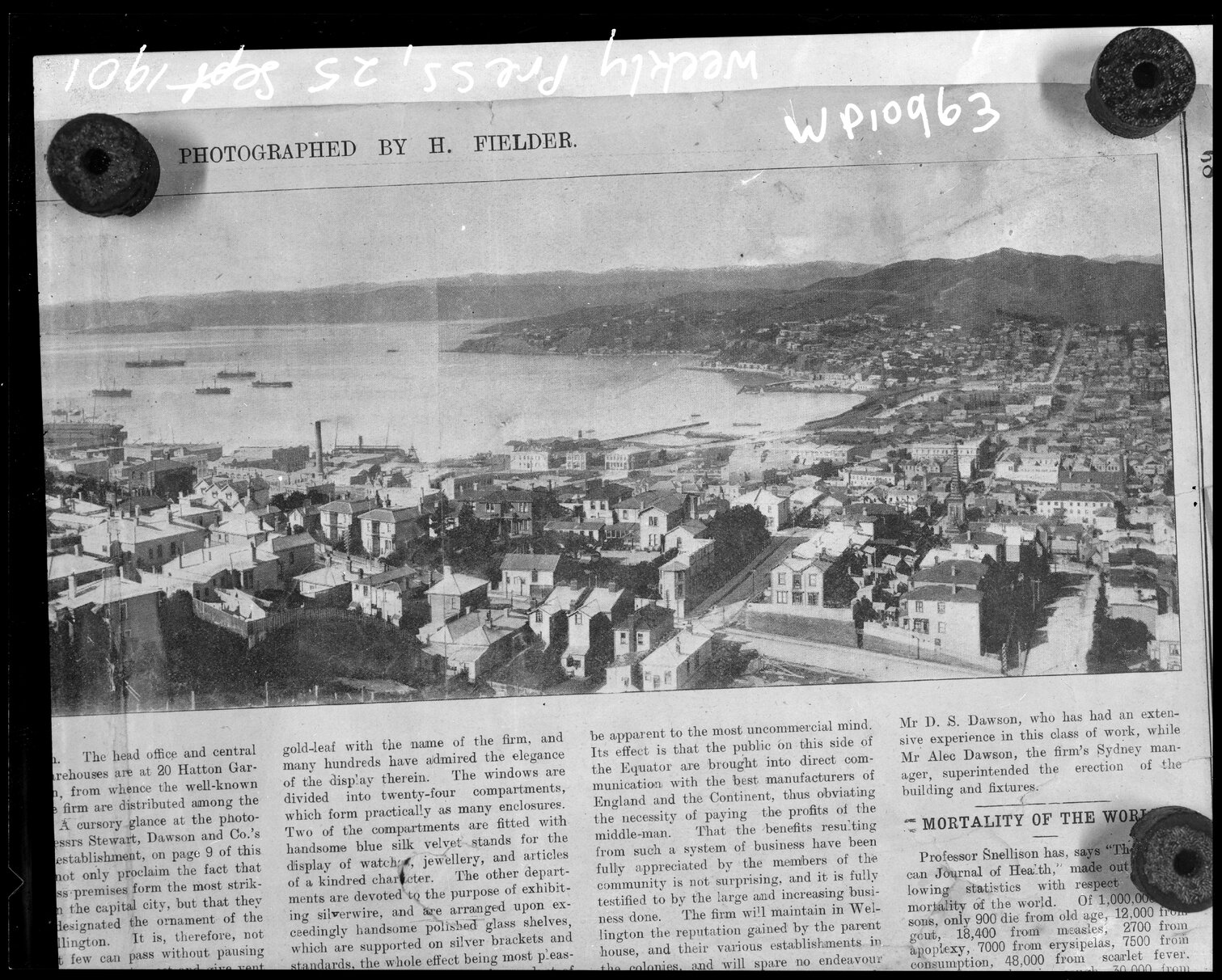 Elevated view of the Terrace Area