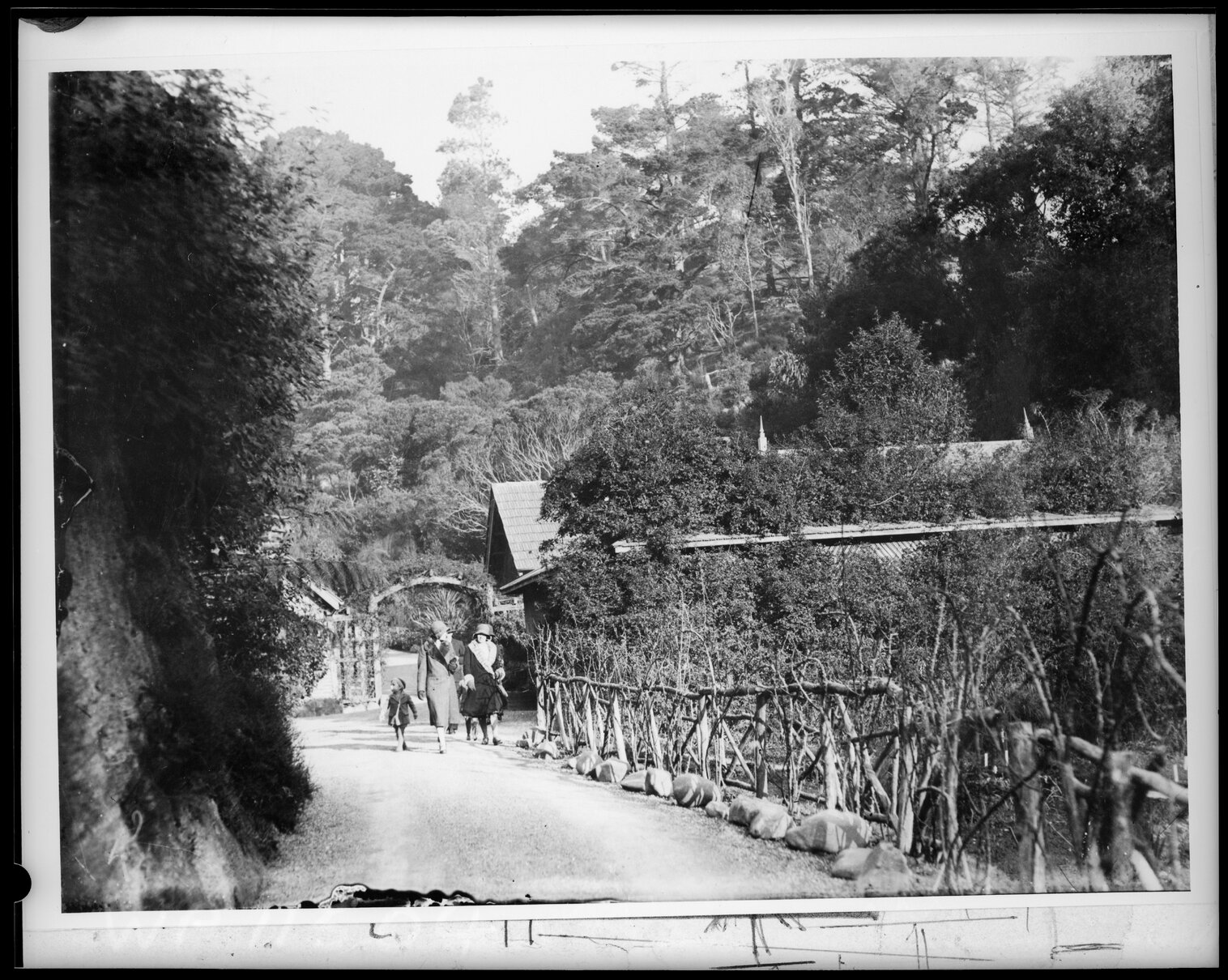 Botanic Garden, women with children walking along path
