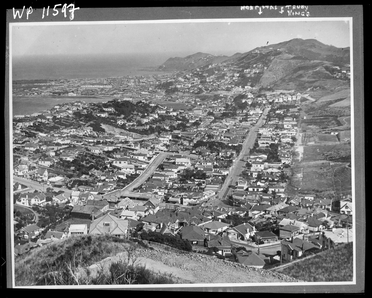 Elevated view of Hataitai, before Mount Victoria tunnel excavations
