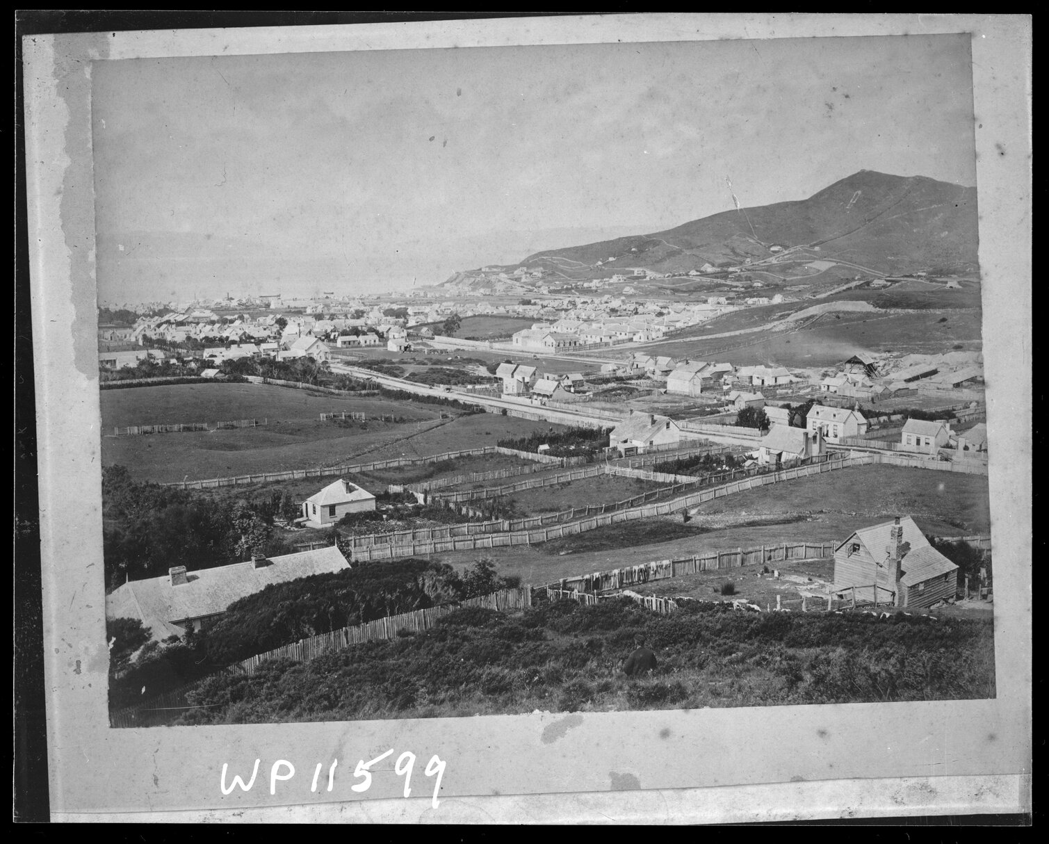 Overlooking Te Aro, looking north towards the harbour and Mount Victoria