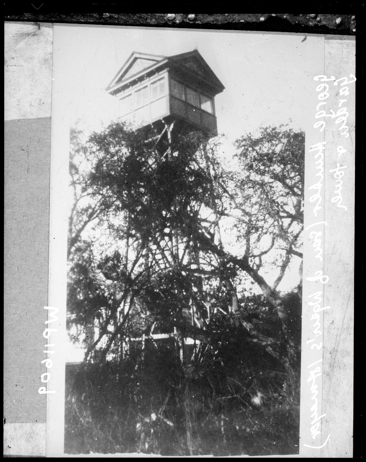 Look-out tower built in the garden of the home of G Hunter