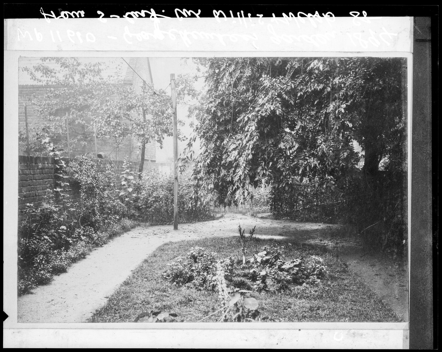 View of G Hunter's garden, from corner of Willis Street and Webb Street