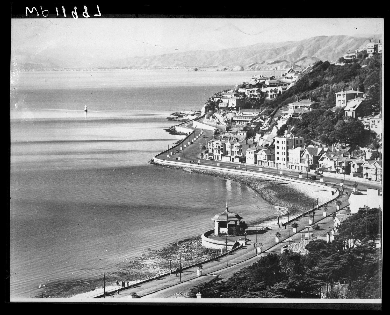 Elevated of Oriental Bay, from above Oriental Parade