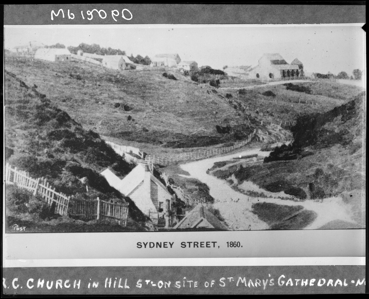 Saint Marys Cathedral on hill, Sydney Street
