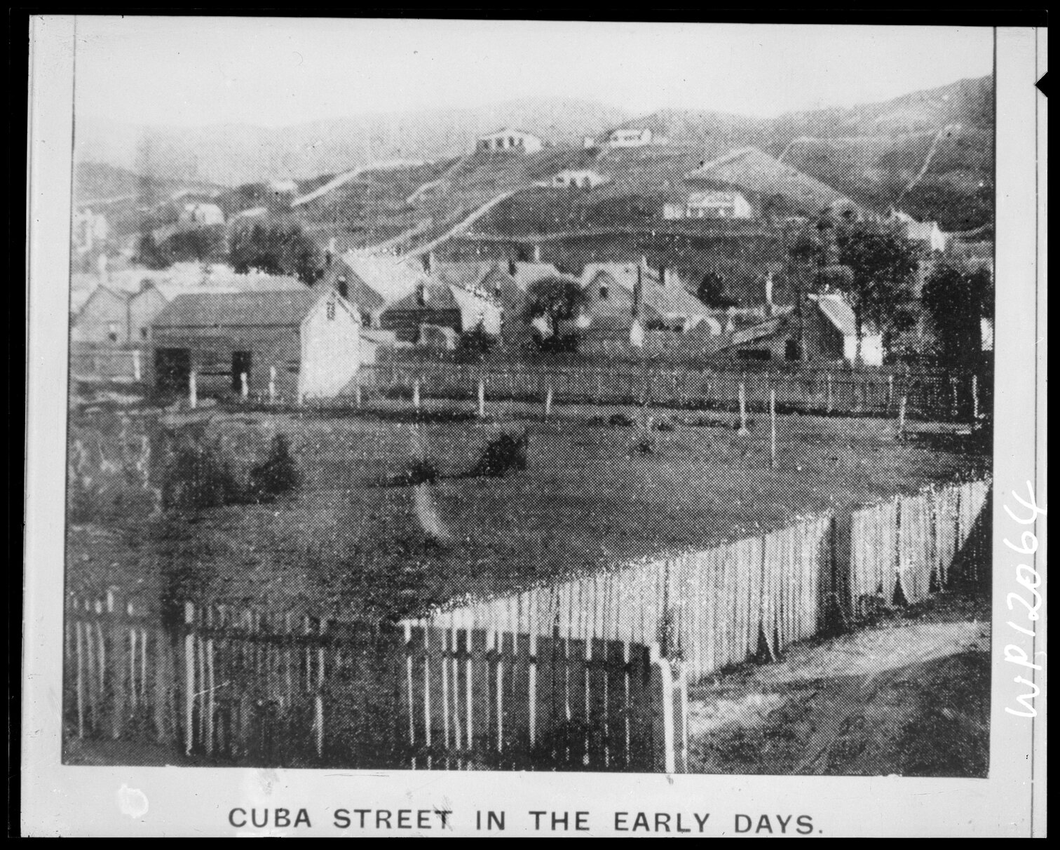 Cuba Street in the early days